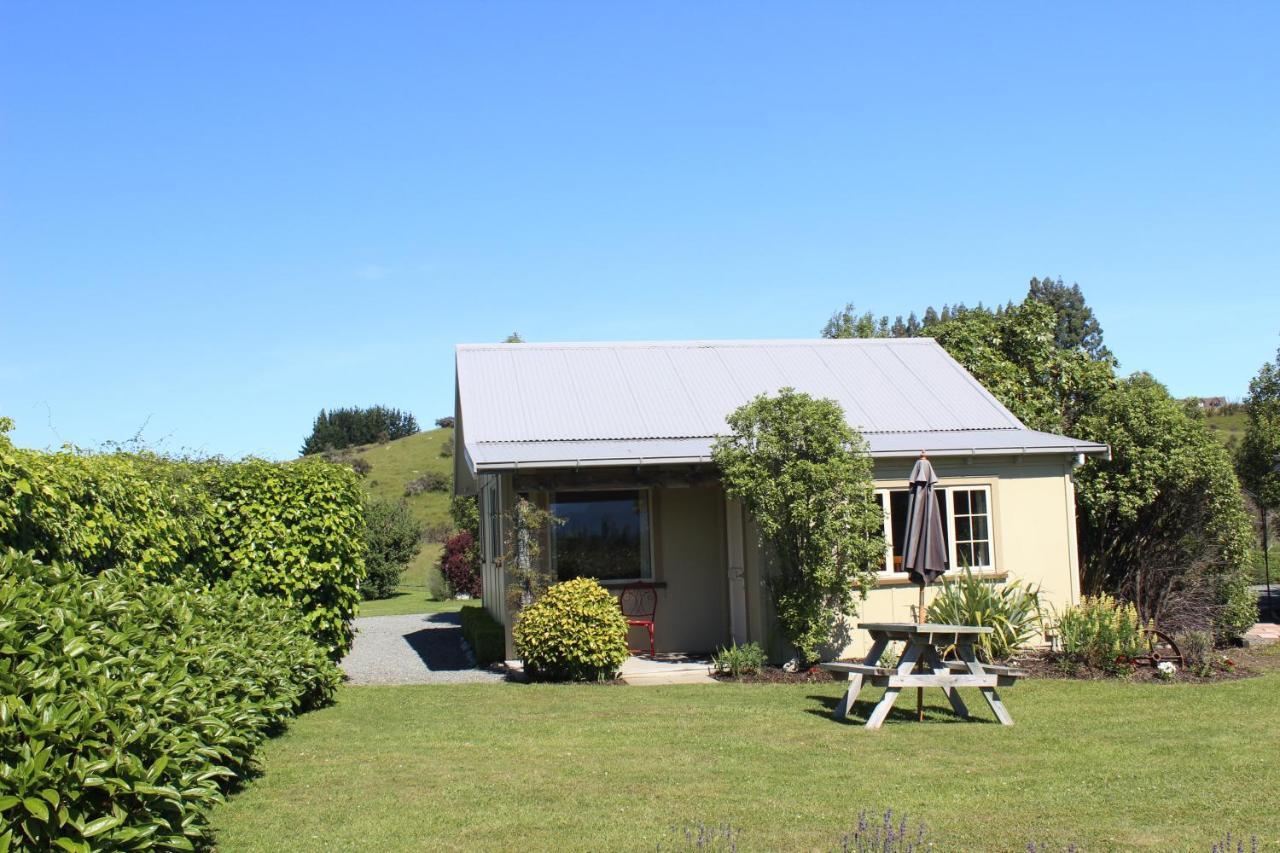 Blue Thistle Cottages Te Anau Exteriör bild