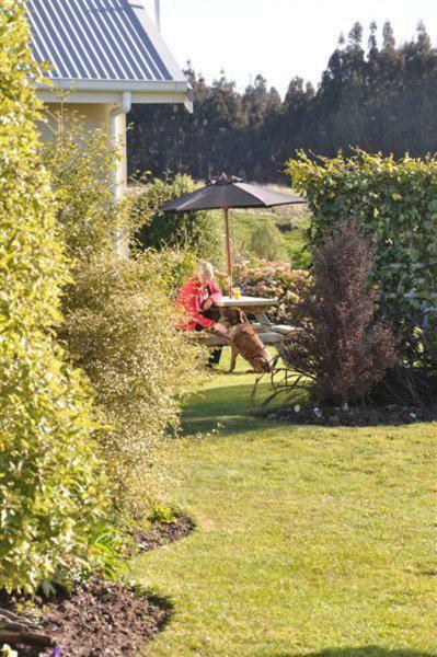 Blue Thistle Cottages Te Anau Exteriör bild